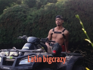 Latin_bigcrazy
