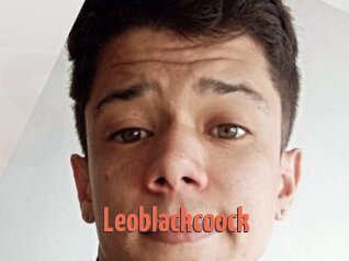Leoblackcoock