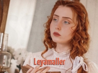 Leyamaller