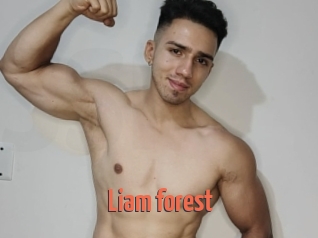 Liam_forest