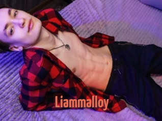 Liammalloy
