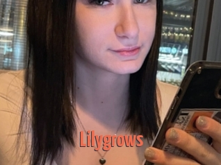 Lilygrows