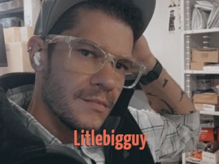 Litlebigguy