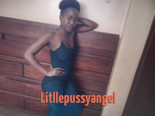Litllepussyangel