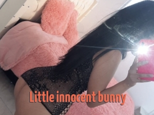 Little_innocent_bunny