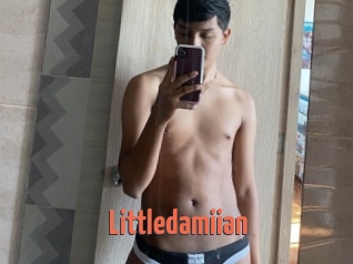 Littledamiian