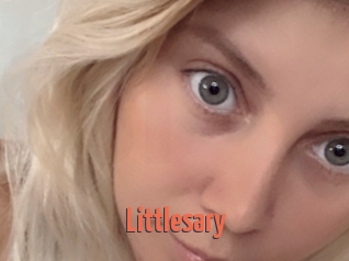 Littlesary