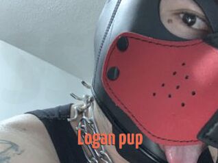 Logan_pup