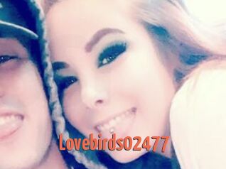 Lovebirds02477