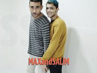 MAXandSALIM