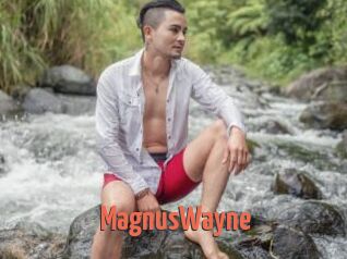 MagnusWayne