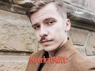 MeerkatMatt