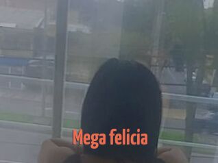 Mega_felicia