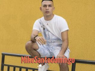 MikeSantodomingo