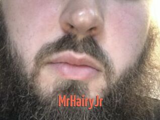 MrHairyJr