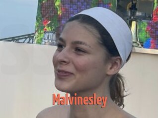 Malvinesley