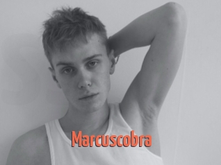 Marcuscobra