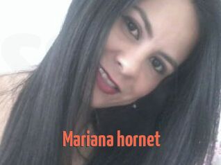 Mariana_hornet