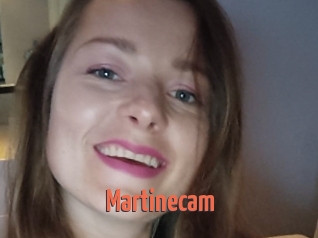 Martinecam