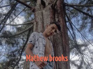 Mathew_brooks