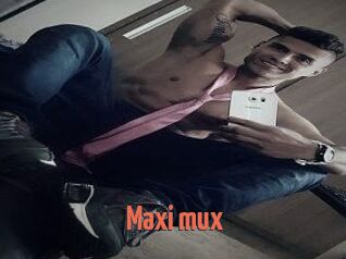 Maxi_mux