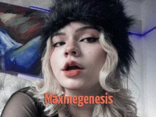 Maxinegenesis