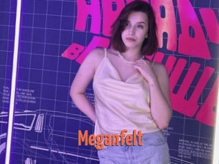 Meganfelt