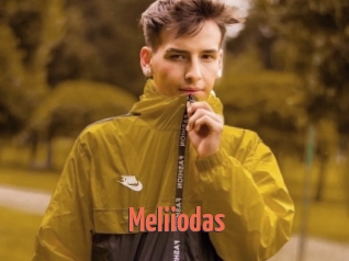 Meliiodas