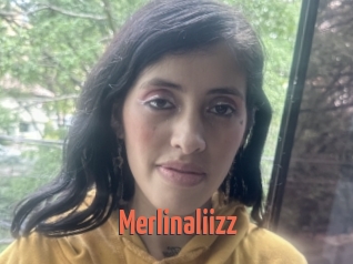 Merlinaliizz