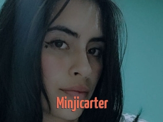 Minjicarter
