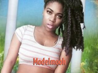 Modelmook