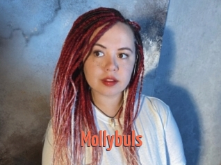 Mollybuls
