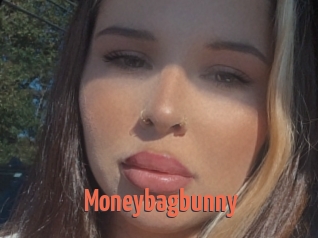 Moneybagbunny