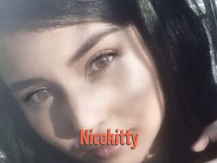 Nicekitty