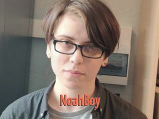NoahBoy