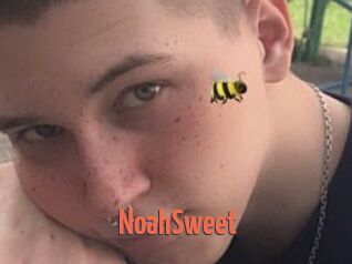 NoahSweet