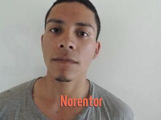 Noren_tor