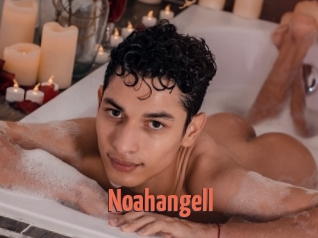 Noahangell
