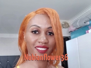 Nubianflower36