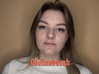 Odelinabeech