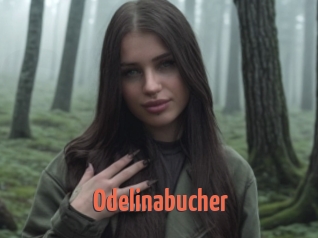 Odelinabucher