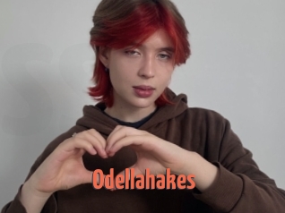 Odellahakes