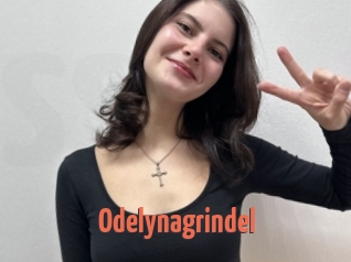 Odelynagrindel