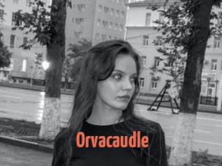 Orvacaudle