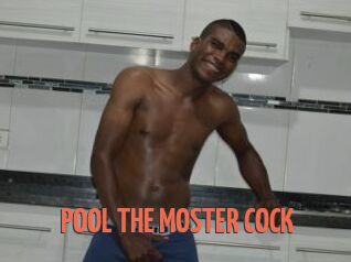 POOL_THE_MOSTER_COCK