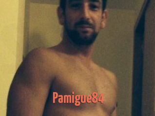 Pamigue84