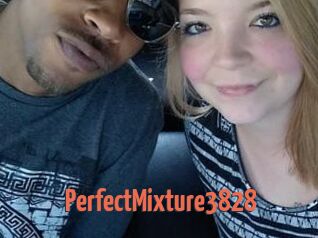 PerfectMixture3828