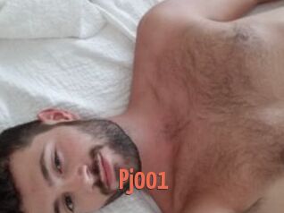Pj001