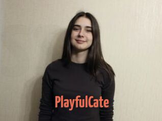 PlayfulCate