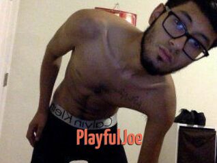 PlayfulJoe